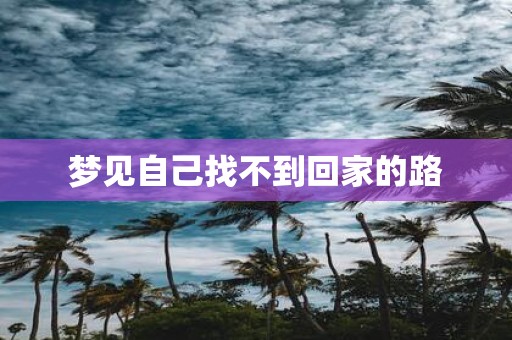 梦见自己找不到回家的路