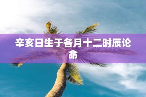辛亥日生于各月十二时辰论命