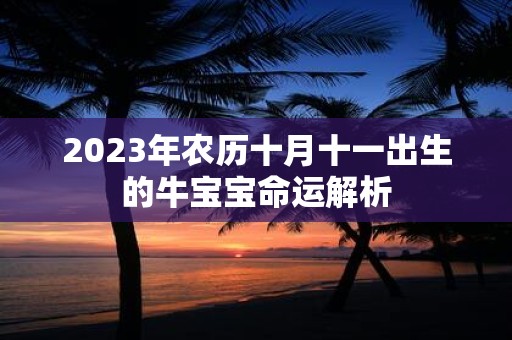 2025年农历十月十一出生的牛宝宝命运解析
