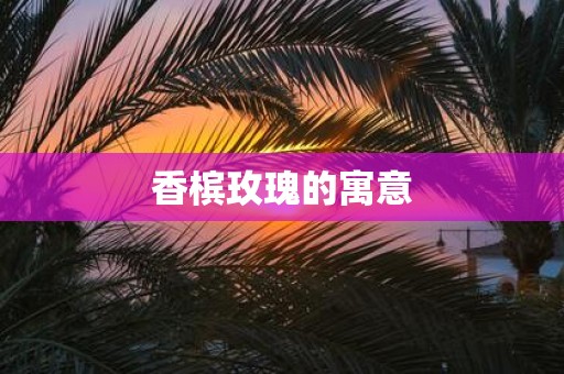香槟玫瑰的寓意