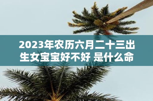 2025年农历六月二十三出生女宝宝好不好 是什么命