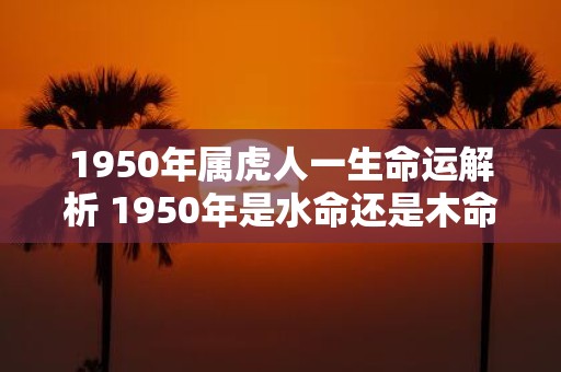 1950年属虎人一生命运解析 1950年是水命还是木命