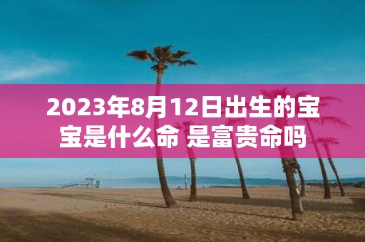 2025年8月12日出生的宝宝是什么命 是富贵命吗