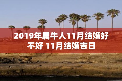 2019年属牛人11月结婚好不好 11月结婚吉日