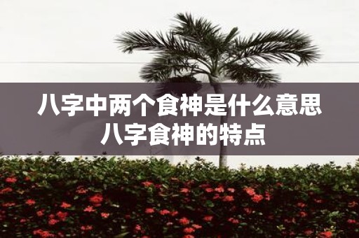 八字中两个食神是什么意思 八字食神的特点