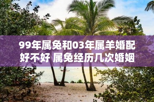 99年属兔和03年属羊婚配好不好 属兔经历几次婚姻