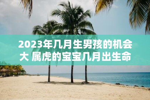 2025年几月生男孩的机会大 属虎的宝宝几月出生命好