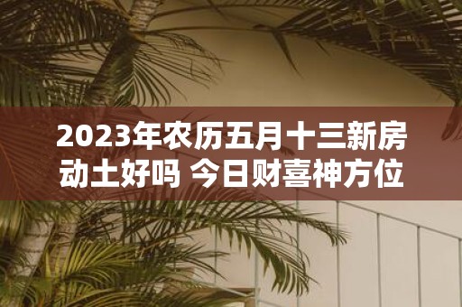 2025年农历五月十三新房动土好吗 今日财喜神方位