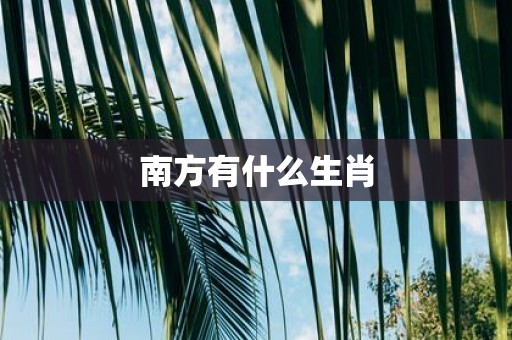 南方有什么生肖 南方有什么生肖