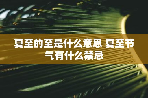 夏至的至是什么意思 夏至节气有什么禁忌
