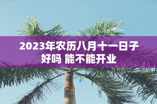 2025年农历八月十一日子好吗 能不能开业