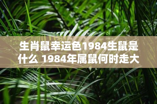 生肖鼠幸运色1984生鼠是什么 1984年属鼠何时走大运