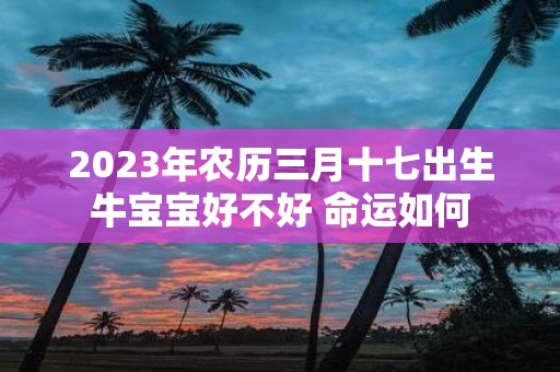 2025年农历三月十七出生牛宝宝好不好 命运如何