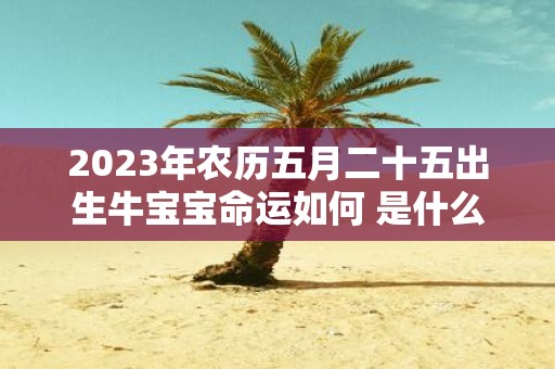 2025年农历五月二十五出生牛宝宝命运如何 是什么命