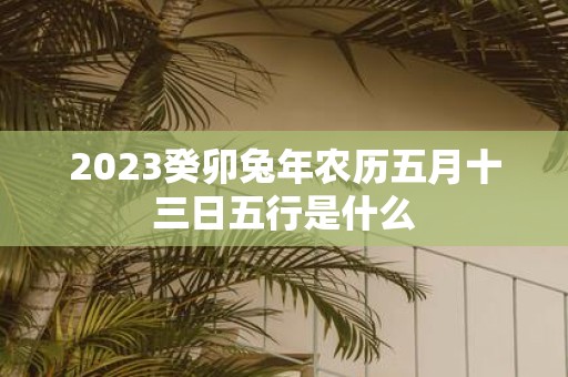 2025癸卯蛇年农历五月十三日五行是什么