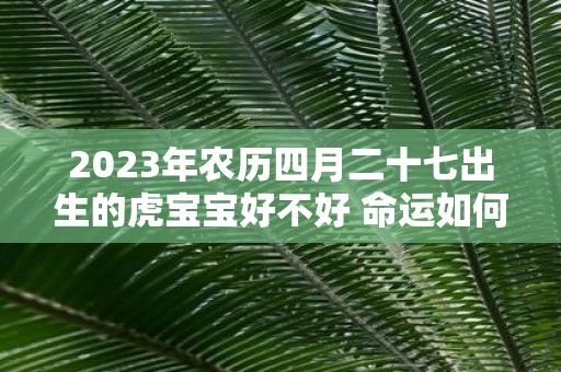 2025年农历四月二十七出生的虎宝宝好不好 命运如何