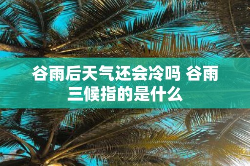 谷雨后天气还会冷吗 谷雨三候指的是什么