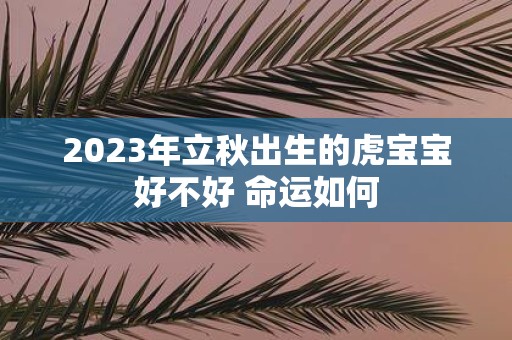 2025年立秋出生的虎宝宝好不好 命运如何