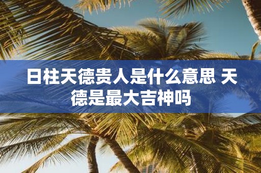 日柱天德贵人是什么意思 天德是最大吉神吗