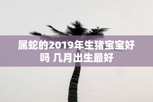 属蛇的2019年生猪宝宝好吗 几月出生最好
