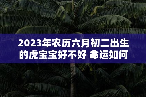 2025年农历六月初二出生的虎宝宝好不好 命运如何
