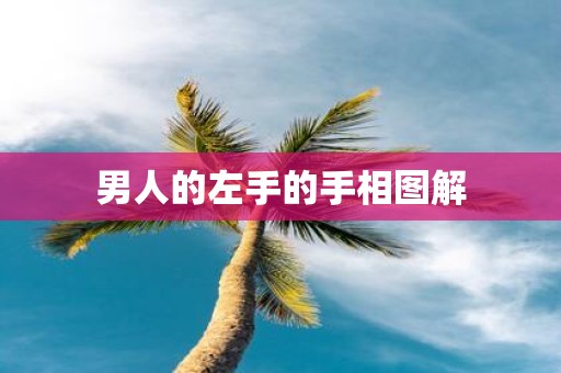 男人的左手的手相图解