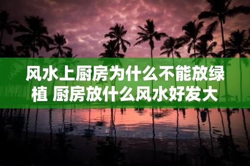 风水上厨房为什么不能放绿植 厨房放什么风水好发大财