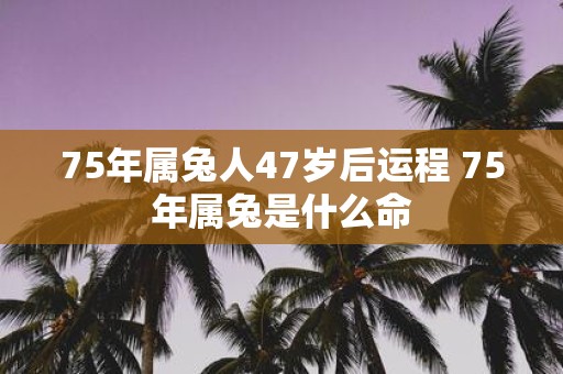 75年属兔人47岁后运程 75年属兔是什么命