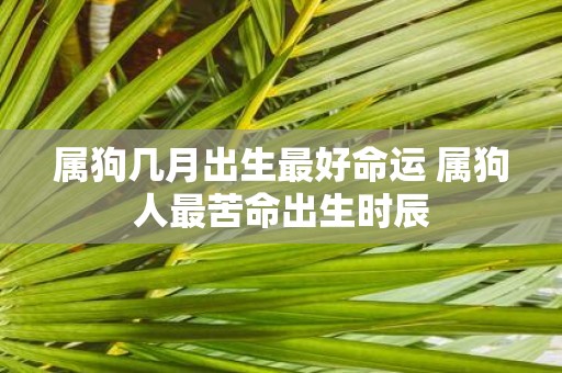 属狗几月出生最好命运 属狗人最苦命出生时辰
