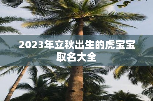 2025年立秋出生的虎宝宝取名大全