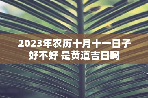 2025年农历十月十一日子好不好 是黄道吉日吗