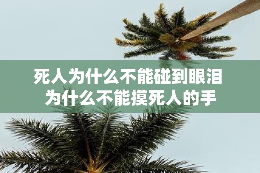 死人为什么不能碰到眼泪 为什么不能摸死人的手