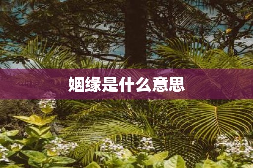 姻缘是什么意思