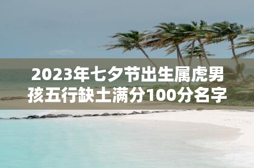 2025年七夕节出生属虎男孩五行缺土满分100分名字