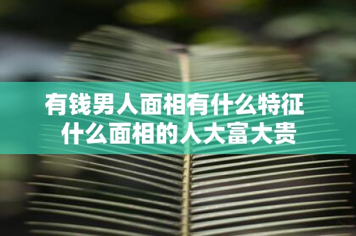 有钱男人面相有什么特征 什么面相的人大富大贵