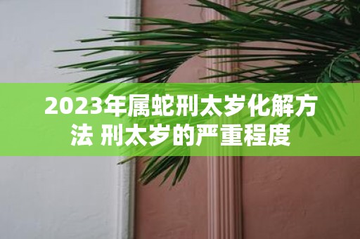 2025年属蛇刑太岁化解方法 刑太岁的严重程度