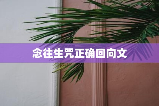 念往生咒正确回向文