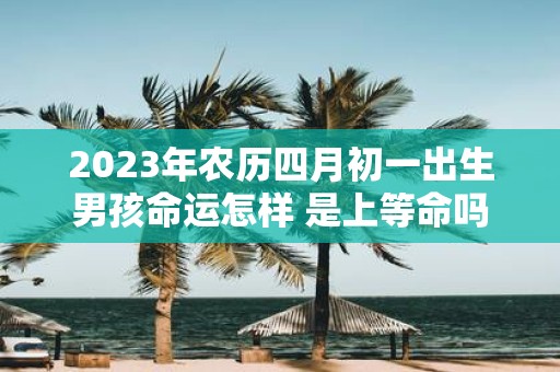 2025年农历四月初一出生男孩命运怎样 是上等命吗