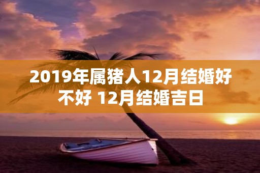 2019年属猪人12月结婚好不好 12月结婚吉日