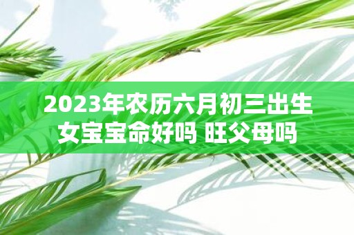 2025年农历六月初三出生女宝宝命好吗 旺父母吗