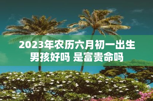 2025年农历六月初一出生男孩好吗 是富贵命吗