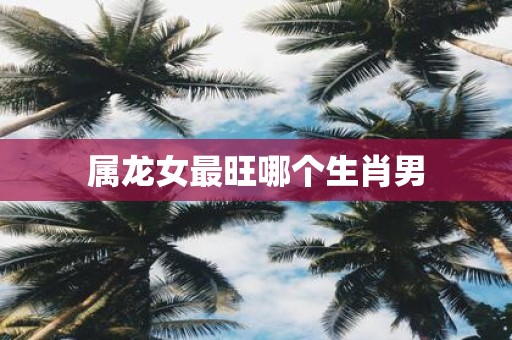 属龙女最旺哪个生肖男