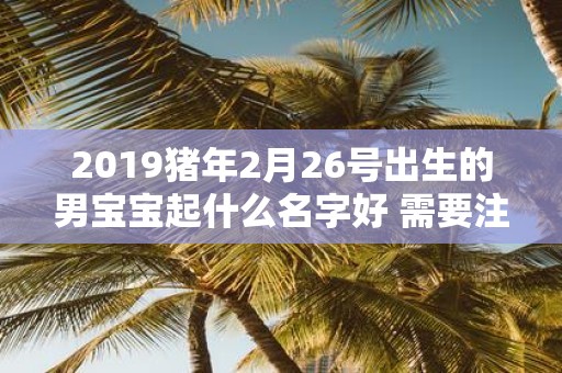 2019猪年2月26号出生的男宝宝起什么名字好 需要注意什么
