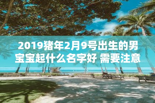 2019猪年2月9号出生的男宝宝起什么名字好 需要注意什么