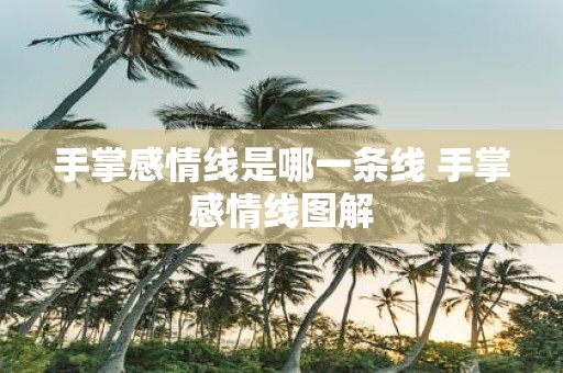 手掌感情线是哪一条线 手掌感情线图解
