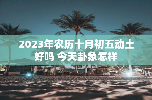 2025年农历十月初五动土好吗 今天卦象怎样