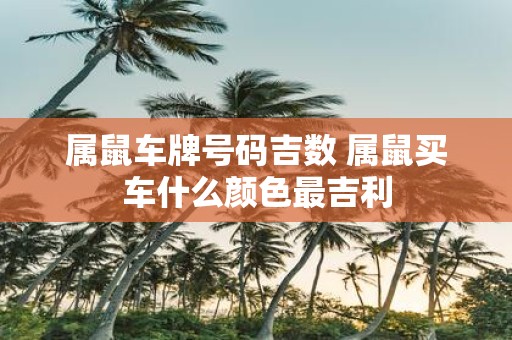 属鼠车牌号码吉数 属鼠买车什么颜色最吉利