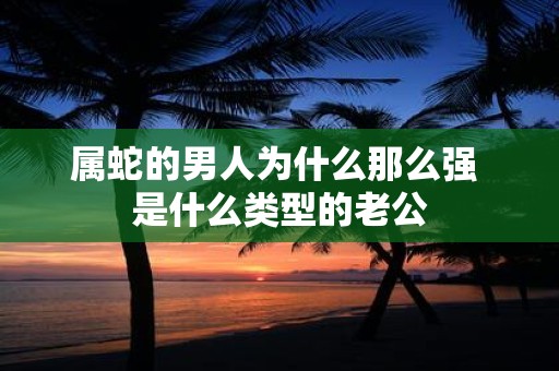 属蛇的男人为什么那么强 是什么类型的老公