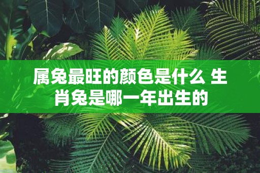 属兔最旺的颜色是什么 生肖兔是哪一年出生的