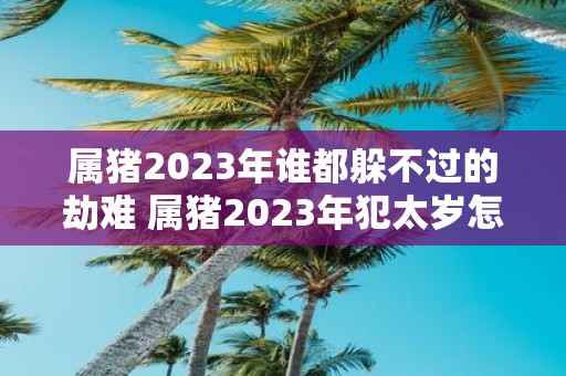 属猪2025年谁都躲不过的劫难 属猪2025年犯太岁怎么化解